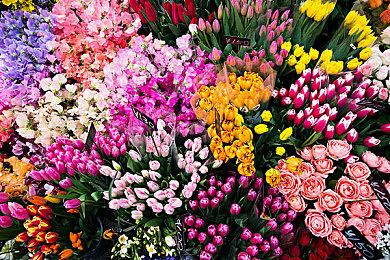 原Stadia游戏《你好工程师》将于8＆17登陆各大平台