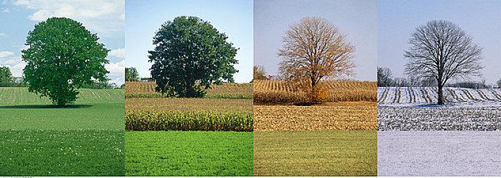 《尼克儿童频道全明星大乱斗2》格蒂奶奶实机 年内发售